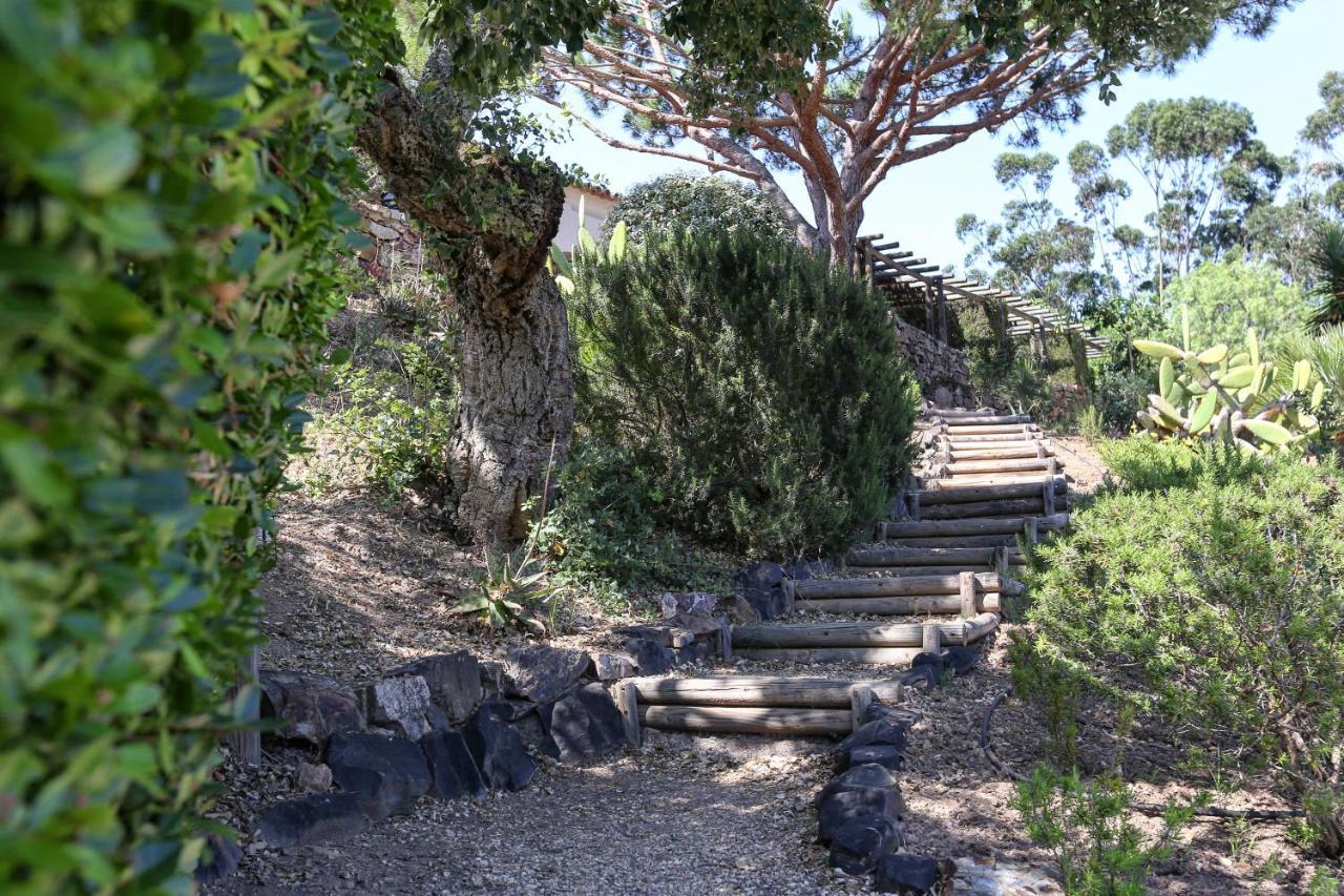 Monte Da Vilarinha كاراباتيرا المظهر الخارجي الصورة
