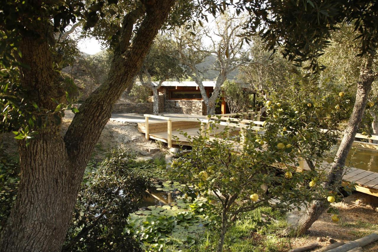 Monte Da Vilarinha كاراباتيرا المظهر الخارجي الصورة